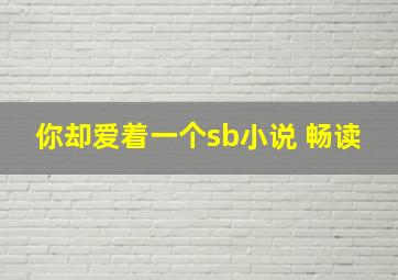 你却爱着一个sb小说 畅读